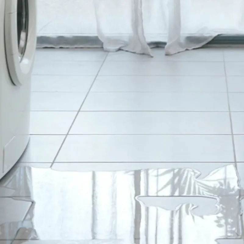 Appliance Leak Cleanup in Lexington Hills, CA